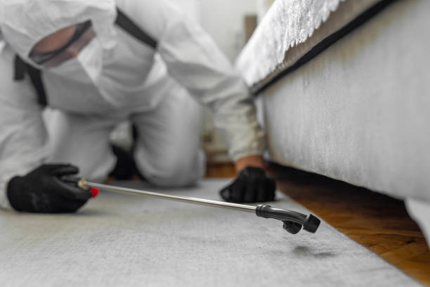 Professional Cockroach Control technician working in Chenoa, IL