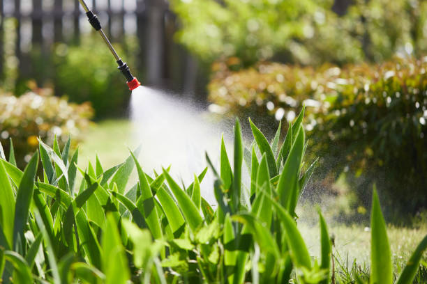 24/7 Emergency Cockroach Control experts in Chenoa, IL