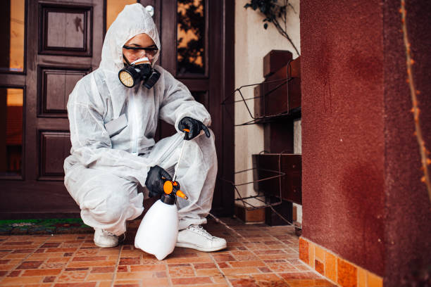 Reliable Cockroach Control contractor in Chenoa, IL by Nex Pest Control